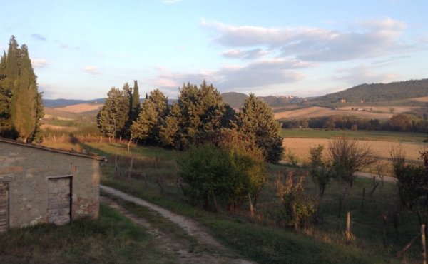 Gattineto dal primo piano