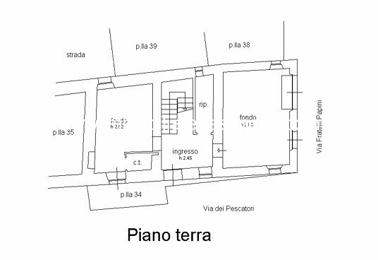 AP115 P T
