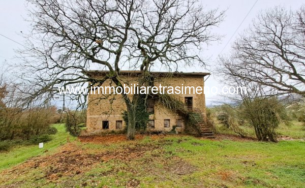 004__20230320_113927