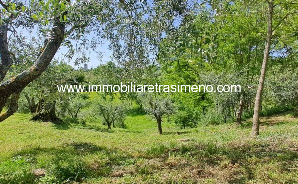 022__20240430_110649