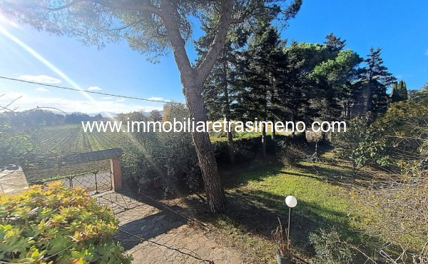 032__20241205_104511