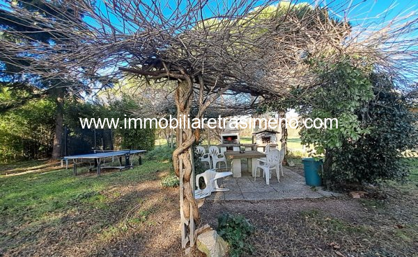 036__20241205_105247