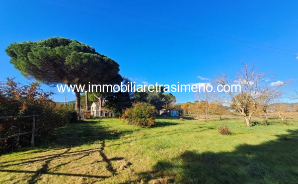 042__20241205_110410