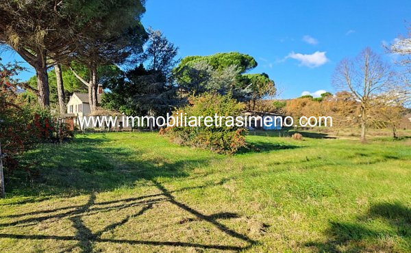 044__20241205_110454