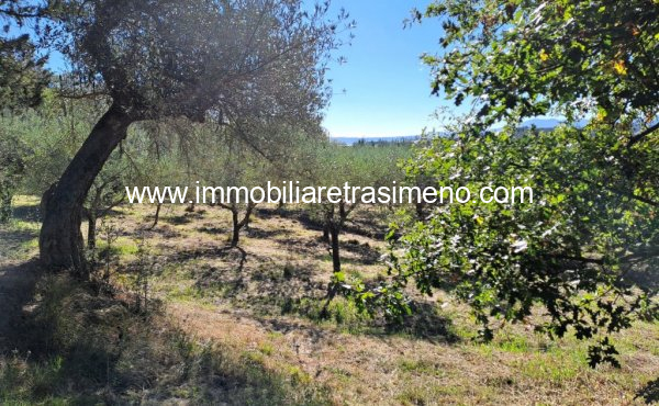 027__20251103_123732