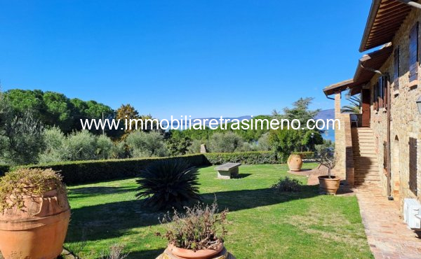 006__20260217_121306