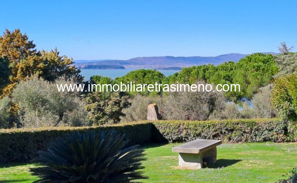 007__20260217_121314