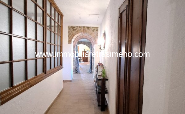 020__20260217_121809