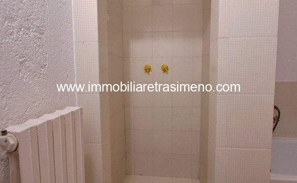 035__20260217_122312