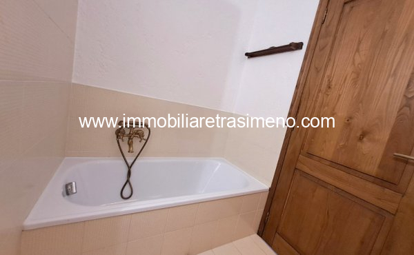 036__20260217_122317