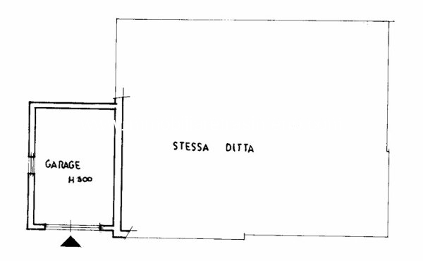 Immagine 2026-04-20 172253