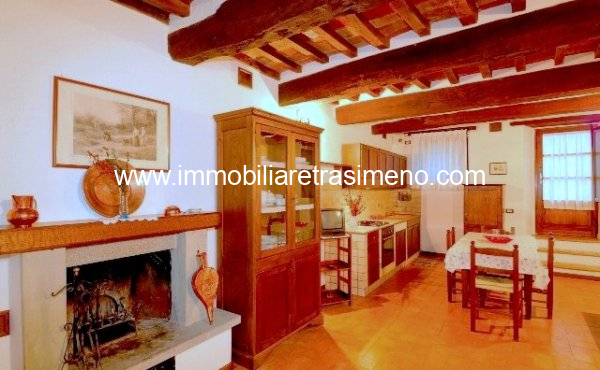 019__frantoio36