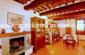 019__frantoio36