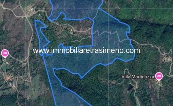 999__mappa_piu_vicina_lisciano