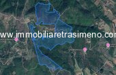 999__lisciano_mappa_senza_misure