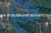 999__mappa_piu_vicina_lisciano