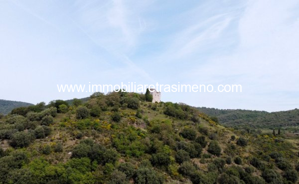 008__dji_0294