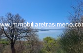 013__004__20260407_122619