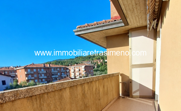 005__immagine_chatgpt_25_set_2026__17_15_24