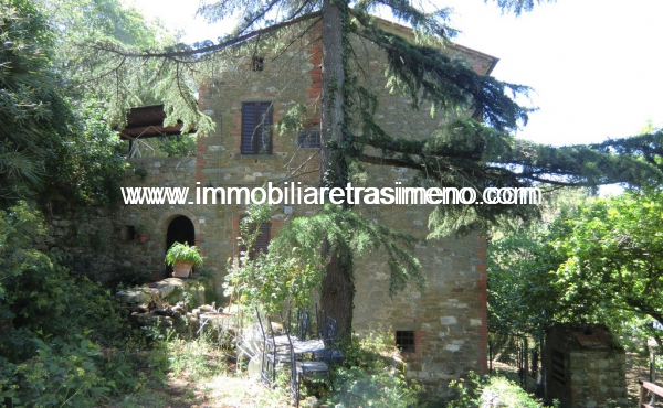 CIMG4952