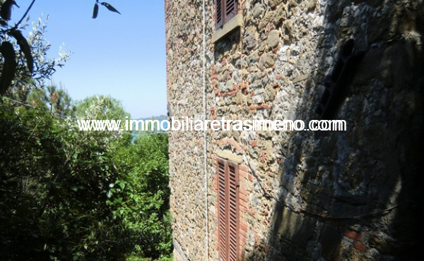 CIMG4955