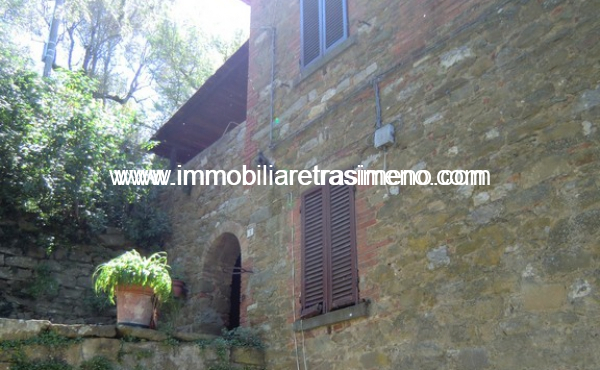 CIMG4958