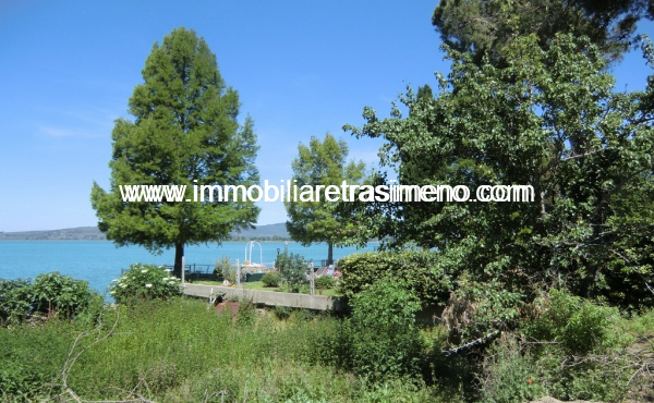 CIMG4961