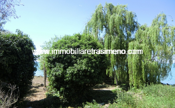CIMG4963