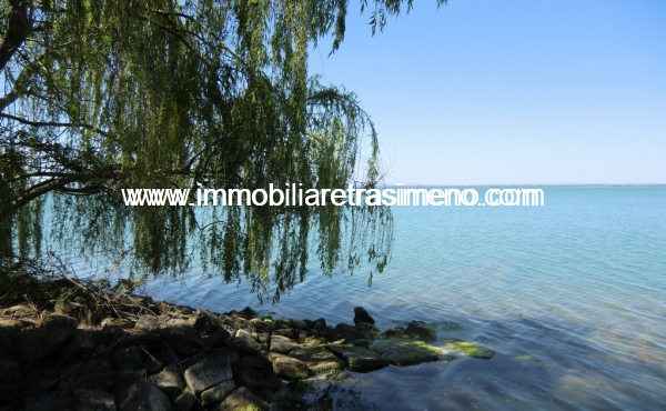 CIMG4966