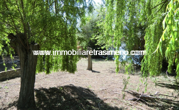 CIMG4967