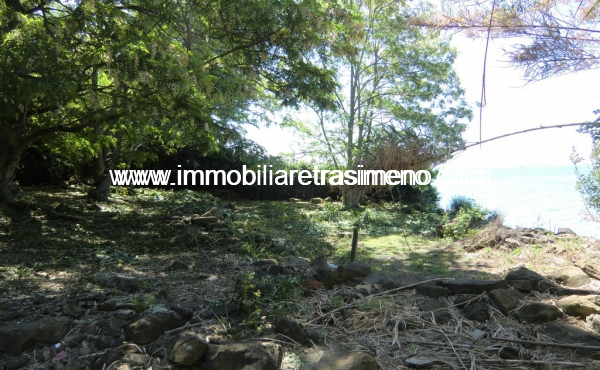 CIMG4970