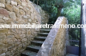 CIMG4954