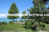 CIMG4961