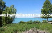 CIMG4962