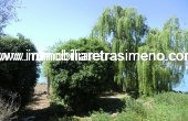 CIMG4963