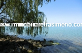 CIMG4966