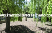 CIMG4967